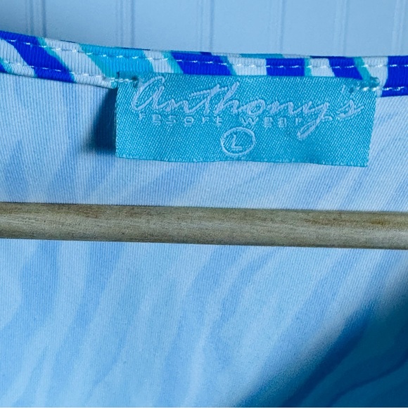 NOT FOR SALE Anthony’s Resort Wear Top  Blue Chevron V Neck 3/4 Sleeve Pullover - Picture 4 of 6